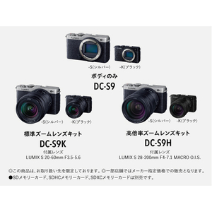パナソニック フルサイズミラーレス一眼カメラ/広角ズームレンズキット LUMIX ダークシルバー DC-S9N-S-イメージ12
