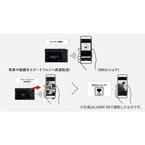パナソニック フルサイズミラーレス一眼カメラ/広角ズームレンズキット LUMIX ダークシルバー DC-S9N-S-イメージ18