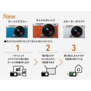 パナソニック フルサイズミラーレス一眼カメラ/広角ズームレンズキット LUMIX ダークシルバー DC-S9N-S-イメージ20