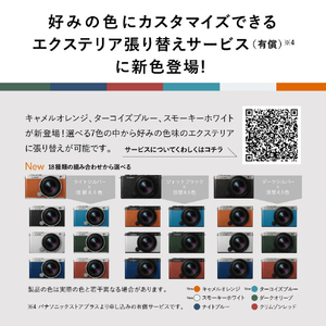 パナソニック フルサイズミラーレス一眼カメラ/広角ズームレンズキット LUMIX ダークシルバー DC-S9N-S-イメージ9
