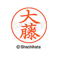 シヤチハタ ネームペン用ネーム シルバー 既製 大藤 FC46293-X-GPS-0522