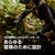 Amazfit T-Rex 3 Pro 44mm ブラックゴールド SP170079-C238-イメージ14