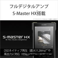 SONY NW-WM1AM2 デジタルオーディオプレーヤー SONY NW-WM1AM2 デジタルオーディオプレーヤー(128GB) Walkman