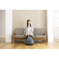 スライヴ MD-8708(GY) フットマッサージャー グレー|エディオン公式通販