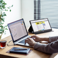 サンワサプライ DP-05 13．3型モバイルディスプレイ |エディオン公式通販