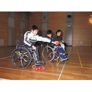 トーエイライト TOEI LIGHT トーエイライト/ボッチャボール FCJ294B-B3812-イメージ5