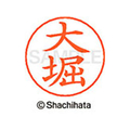 シヤチハタ ネームペン用ネーム シルバー 既製 大堀 FC46295-X-GPS-0524