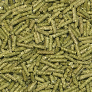 三晃商会 ラビットナチュラス オールステージ 900g FC455PK-F621-イメージ2
