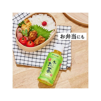 伊藤園 FCC2539 お～いお茶 緑茶 195mL |エディオン公式通販