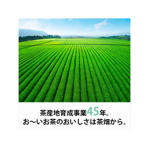 伊藤園 お～いお茶 緑茶 195ml FCC2539-イメージ6