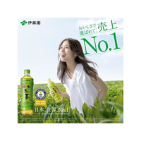 伊藤園 FCC2540 お～いお茶 緑茶 195ml×30本 |エディオン公式通販