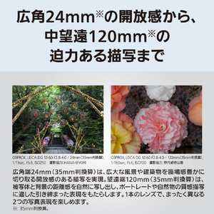 パナソニック LEICA DG VARIO-ELMARIT 12-60mm / F2．8-4．0 ASPH． / POWER O．I．S． デジタルカメラ_Gシリーズ交換レンズ ブラック H-ES12060A-イメージ4