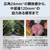 パナソニック LEICA DG VARIO-ELMARIT 12-60mm / F2．8-4．0 ASPH． / POWER O．I．S． デジタルカメラ_Gシリーズ交換レンズ ブラック H-ES12060A-イメージ4