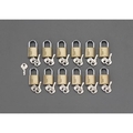 エスコ 南京錠 マスターキー付 12個組 30mm FCZ1633-EA983SH-130M