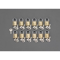 エスコ 南京錠 マスターキー付 12個組 30mm FCZ1633-EA983SH-130M