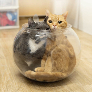ドギーマンハヤシ Lサイズのおっきなにゃんこの金魚鉢 Lｻｲｽﾞﾉｵﾂｷﾅﾆﾔﾝｺﾉｷﾝｷﾞﾖﾊﾞﾁ-イメージ3