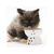 猫壱 ハッピー おやつ皿 猫柄 FC75398-DC-0706-02-イメージ5