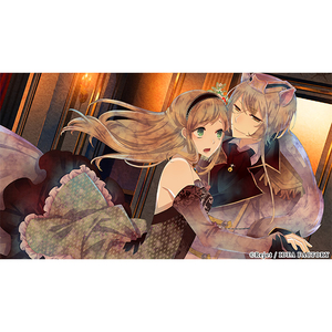 アイディアファクトリー BLACK WOLVES SAGA for NSW 特装版【Switch】 BWSW26160-イメージ3