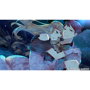 アイディアファクトリー BLACK WOLVES SAGA for NSW 特装版【Switch】 BWSW26160-イメージ5