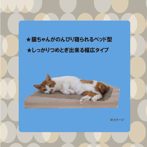 シーズイシハラ ミュウミュウつめみがき ベッドタイプ ﾐﾕｳﾐﾕｳﾂﾒﾐｶﾞｷﾍﾞﾂﾄﾞ-イメージ4