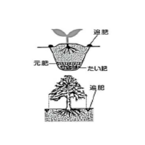 トムソンコーポレーション 化成肥料 8-8-8 1kg FCC9462-イメージ2