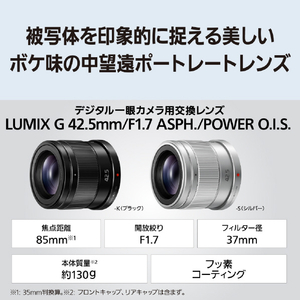 パナソニック LUMIX G 42．5mm/F1．7 ASPH．/POWER O．I．S． LUMIX Gシリーズ シルバｰ H-HS043A-S-イメージ2