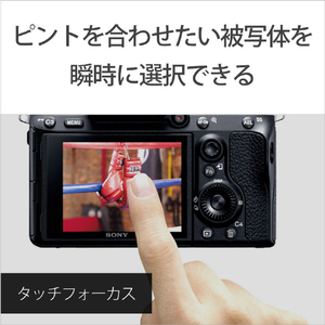 SONY デジタル一眼カメラ・ボディ ILCE7M3-イメージ10