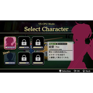 ディースリー・パブリッシャー SIMPLEシリーズ for Nintendo Switch 2 Vol．2 THE ビリヤード【Switch 2】 POTPAA49A-イメージ2