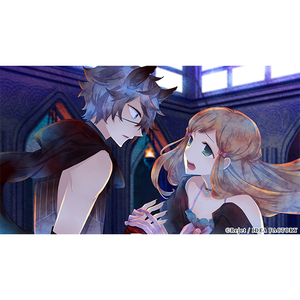 アイディアファクトリー BLACK WOLVES SAGA for NSW【Switch】 HACPBN88A-イメージ2