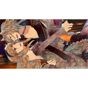 アイディアファクトリー BLACK WOLVES SAGA for NSW【Switch】 HACPBN88A-イメージ4