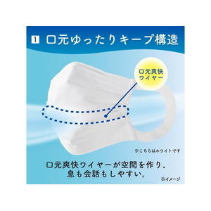 大王製紙 エリエールマスク ムレ爽快30枚 ふつうサイズ FCE016Y-イメージ3