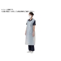 竹虎 ビニールエプロンP ホワイト 100枚入 0 76350 FC544VD-3695842