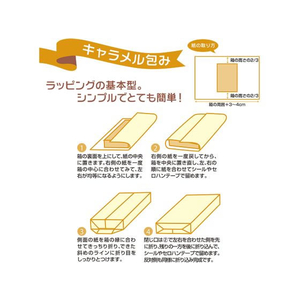 タカ印 包装紙 ネージュ緑 全判 50枚 FC984NX-49-4026-イメージ7