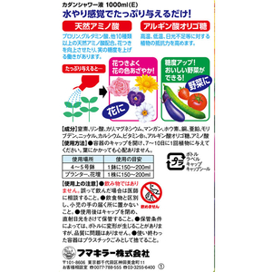 フマキラー カダンシャワー液(E)1000ml FCD765M-イメージ2