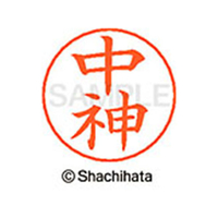 シヤチハタ ネームペン用ネーム シルバー 既製 中神 FC47295-X-GPS-1524