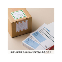 ヒサゴ F044812-ELM038 エコノミーラベル A4 200面 角丸 100枚
