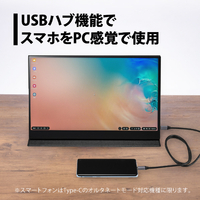 プリンストン PTF-M156T 15．6型モバイル液晶ディスプレイ