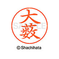 シヤチハタ ネームペン用ネーム シルバー 既製 大薮 FC46308-X-GPS-0537