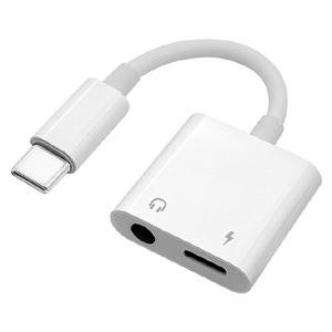 ラスタバナナ Type-C イヤフォンジャック デジタル変換+Type-C 充電口(3．5mm) ホワイト RHECC35D04WH-イメージ1