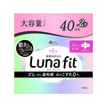 大王製紙 エリス 素肌のきもち ルナフィット 多い昼用 羽つき 40個 FCE723A