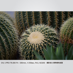 パナソニック LUMIX S PRO 70-200mm F4 O．I．S． LUMIX Sシリーズ PRO ブラック S-R70200A-イメージ10