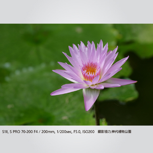 パナソニック LUMIX S PRO 70-200mm F4 O．I．S． LUMIX Sシリーズ PRO ブラック S-R70200A-イメージ12