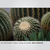 パナソニック LUMIX S PRO 70-200mm F4 O．I．S． LUMIX Sシリーズ PRO ブラック S-R70200A-イメージ10