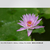 パナソニック LUMIX S PRO 70-200mm F4 O．I．S． LUMIX Sシリーズ PRO ブラック S-R70200A-イメージ12