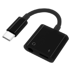 ラスタバナナ Type-C イヤフォンジャック デジタル変換+Type-C 充電口(3．5mm) ブラック RHECC35D04BK-イメージ1