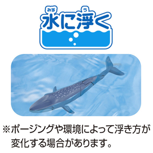 タカラトミー アニア AL-23 シロナガスクジラ(水に浮くVer．) ｱﾆｱAL23ｼﾛﾅｶﾞｽｸｼﾞﾗﾐｽﾞﾆｳｸ-イメージ4