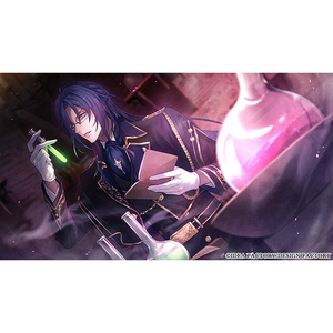 アイディアファクトリー 薄桜鬼異聞 ベレジンスキーの魔女【Switch】 HACPBQBCA-イメージ3