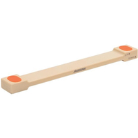 長谷川化学工業 抗菌まな板リフター LF20-300 300×35×H20 1本 FC595LU-7227700