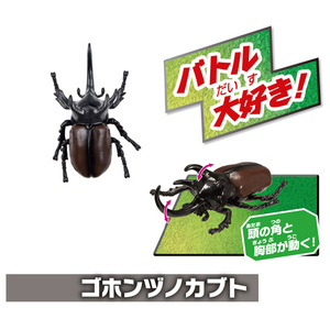 タカラトミー アニア 世界の昆虫バトルセット ｱﾆｱｾｶｲﾉｺﾝﾁﾕｳﾊﾞﾄﾙｾﾂﾄ-イメージ4