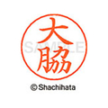 シヤチハタ ネームペン用ネーム シルバー 既製 大脇 FC46310-X-GPS-0539